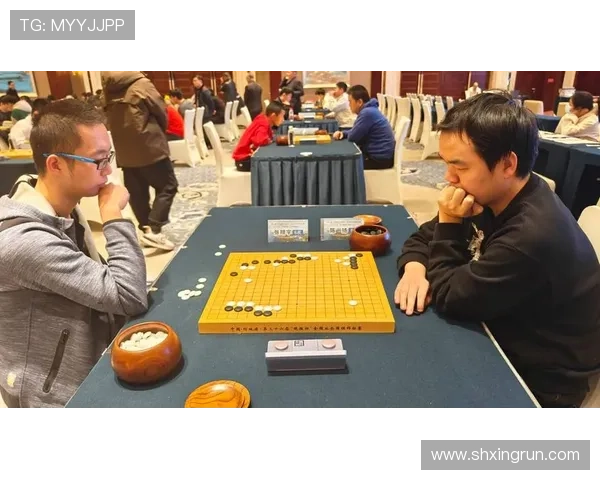 当湖十局:一盘棋,一座城,一部中国围棋的史诗